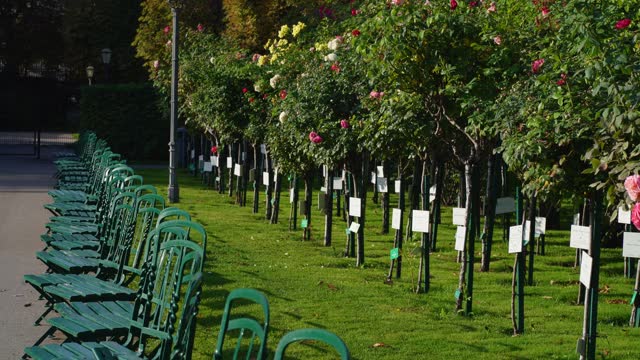 Vienna, Austria, October 2023. Rose Garden in Schoenbrunn Palace Park. People dedicate a note and a bush of flowers to their loved ones