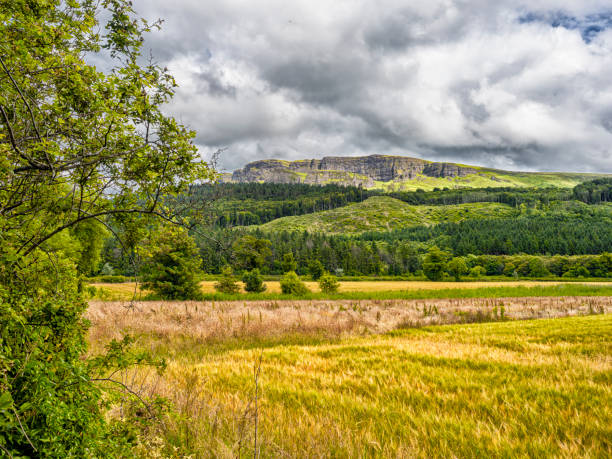 istock Landscape near River Roe - Green Field With Distant Mountain 2134901521
