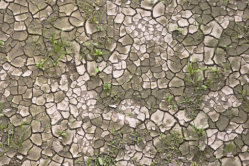 Cracked, arid, and desolate ground, a consequence of desertification and an arid climate - Infertile land parched by the sun - High Angle View.