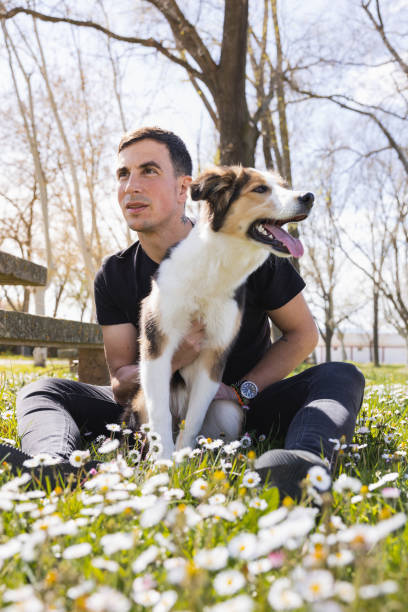 istock Man and his Border Collie in the daisy field. 2134959819