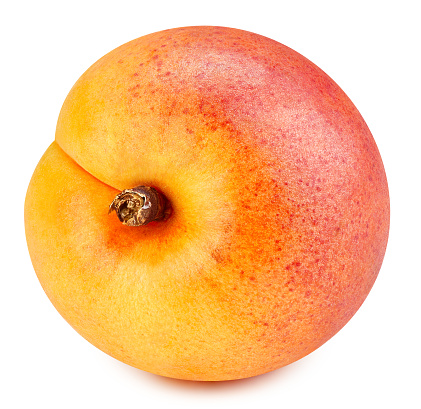 Apricot isolated on white background. Apricot fruit Clipping Path.