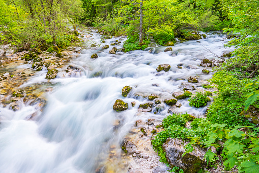 Savica river near lake Bohinj in the Triglav National Park in Slovenia during a beautiful  springtime day in the Upper Carniola region. Long exposure photo with smooth looking flowing water.
