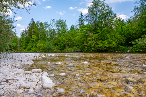 Savica river near lake Bohinj in the Triglav National Park in Slovenia during a beautiful  springtime day in the Upper Carniola region.