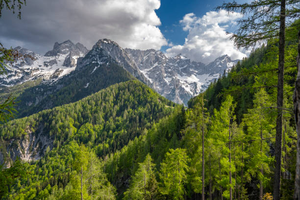 istock View towards the Grintovec mountain range from Goli vrh during springtime 2134981720