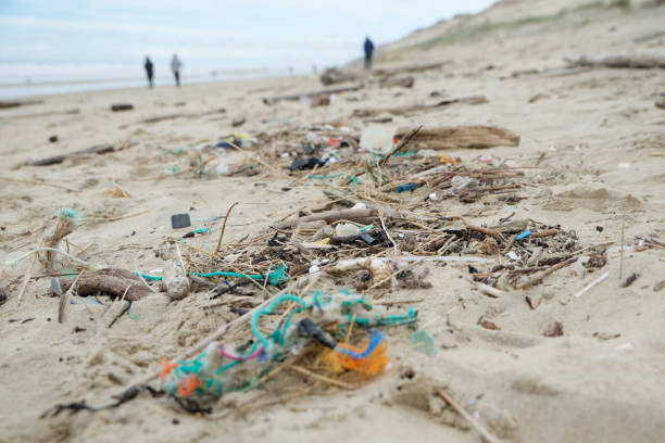istock Plastic and miscellaneous waste on the sand by the beach. Trash on the beach. 2135002097