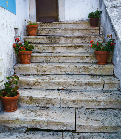 Old steps leading up, some broken; flower pots are placed on both sides.