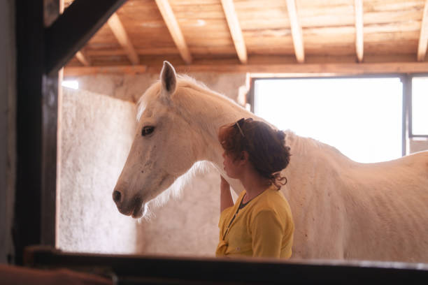 istock White horse with her caretaker in the barn. 2135007568