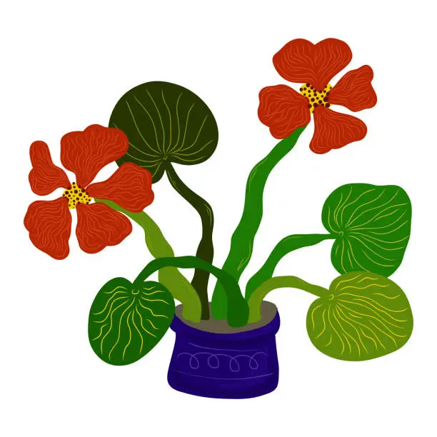 Vector illustration of Vector element hand drawn flat cartoon style. Stylized floral arrangement for cards, invitations, etc. Floral element, nasturtium in a pot