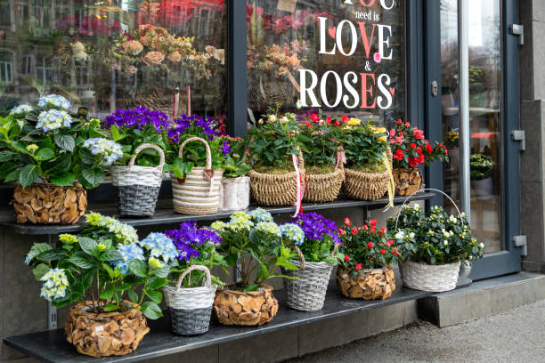 istock Flowers in pots in the florist's window 2135010694