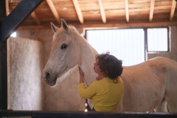 istock White horse with her caretaker in the barn. 2135017604
