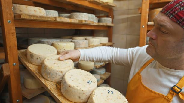 istock Cheese maker laying out wheels of finished cheese 2135026622
