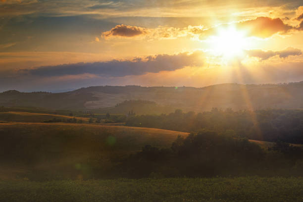 Beautiful landscape with vineyards in Tuscany