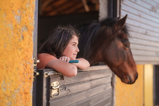 Horse friendship with human.