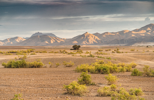 dry and arid landscape on the namibian desert