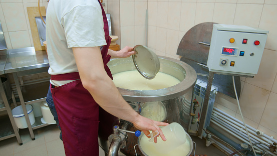 Making cheese in the dairy farm