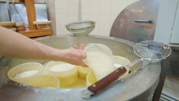 istock Cheese factory worker pours raw materials into molds 2135063503