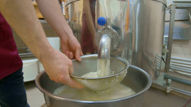 istock Cheese factory worker drains liquid from a vat 2135063513