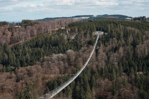 istock a suspension bridge surrounded by trees in the winter sky a 2135066744