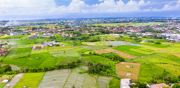 Bali, Canggu - Aerial view of lush green rice fields stretching across the landscape, harmoniously juxtaposed with a developing urban area. Red-roofed buildings dot the scene, their geometric forms contrasting against the natural expanse. The cloudy sky casts a soft, diffused light, emphasizing the vibrant hues of the fields.