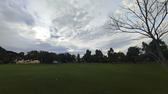 cloudy afternoon sky over a green grass-covered forested area