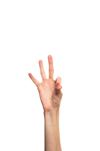 istock Woman hand gesture isolated on white background. 2135089235