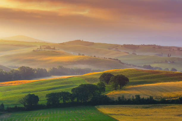istock Landscape in Tuscany at sunrise 2135110226