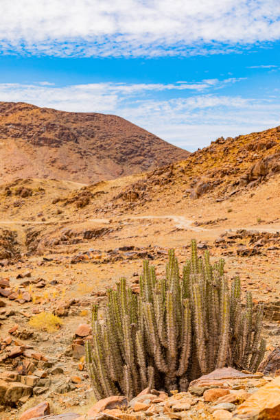 istock Arid landscape in the Richtersveld National Park 2135113014