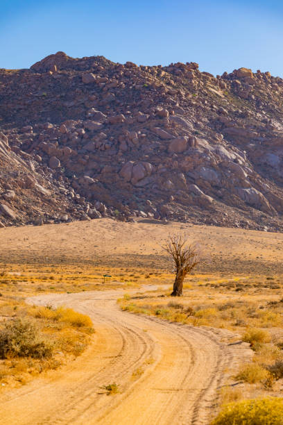 istock Arid landscape in the Richtersveld National Park 2135114083