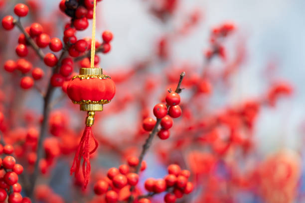 Small red lanterns hang beautifully for Chinese New Year decorations. on a melting background.