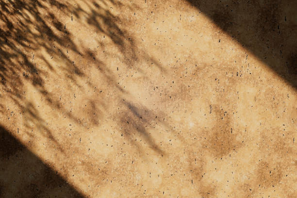 Natural stone wall texture with plant shadow flat lay.