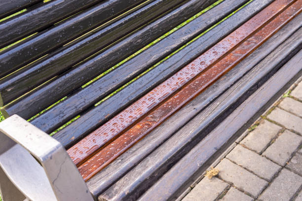 Snow covered park seats