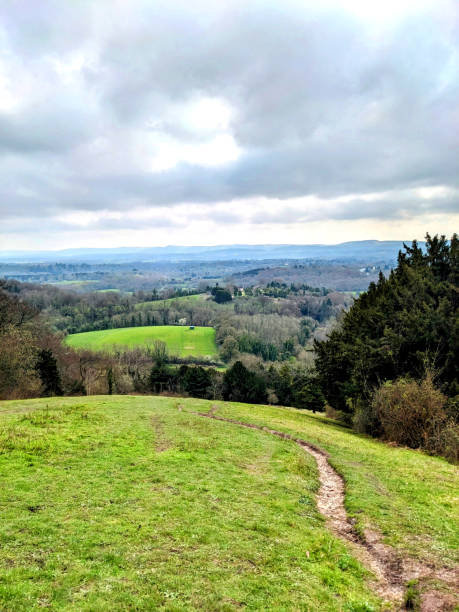 istock British Woodland Scenery Walk through a Walking Trail With Path 2135185662