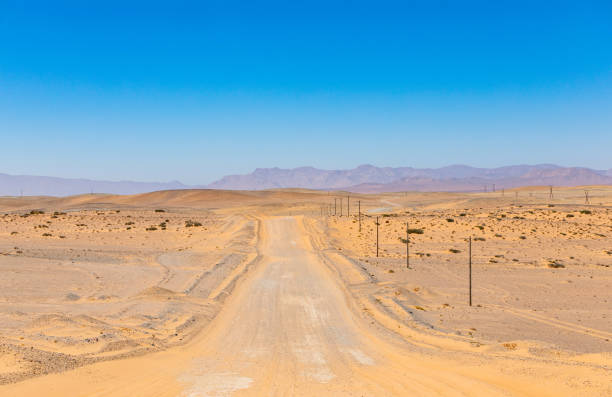 istock Arid landscape in the Richtersveld National Park 2135200218