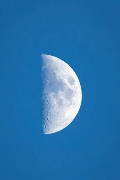 This photograph captures the first quarter moon shining brightly against the backdrop of a deep blue sky. The lunar phase is beautifully highlighted amidst the serene expanse of the night sky, offering a glimpse of celestial beauty in the tranquil evening