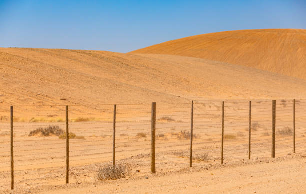 istock Arid landscape in the Richtersveld National Park 2135205849