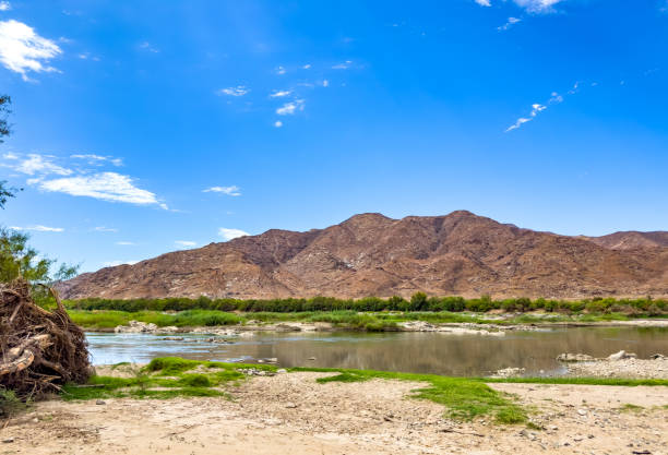 istock Arid landscape in the Richtersveld National Park 2135214751