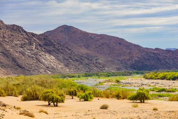 istock Arid landscape in the Richtersveld National Park 2135214763