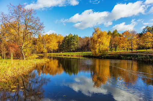 Autumn view of the park landscape with a pond and reflections of the sky in the background with clouds