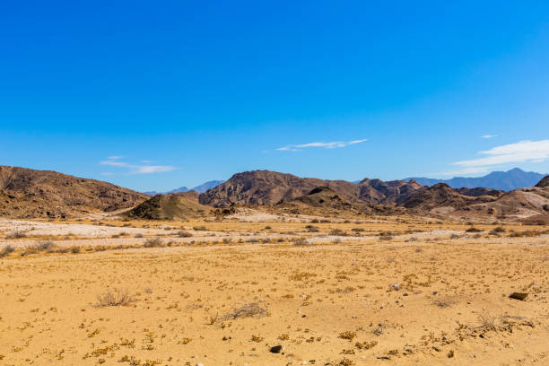istock Arid landscape in the Richtersveld National Park 2135263380