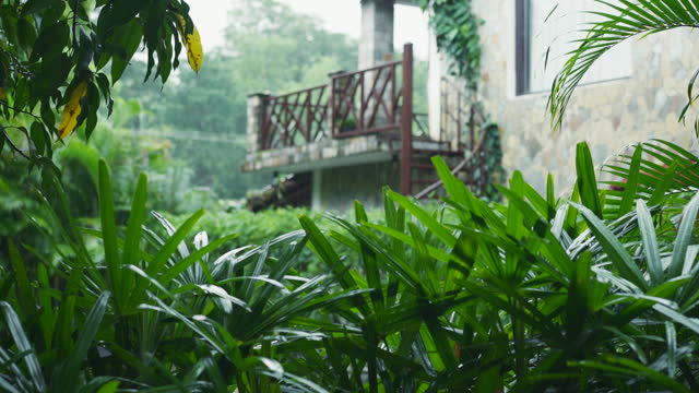 Tropical rain waters stone house with balcony framed by jungle vegetation. Trees, shrubs and palms are flooded with rainwater, which characterizes typical summer in Asia.