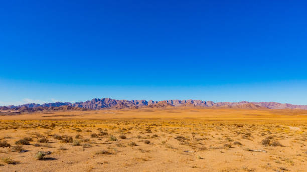 Arid landscape in the Richtersveld National Park