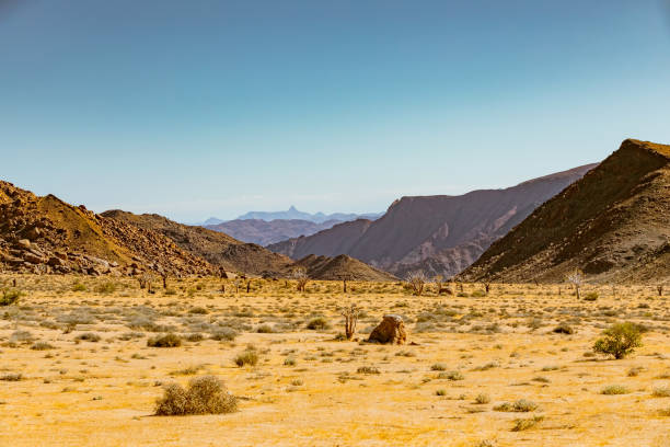 istock Arid landscape in the Richtersveld National Park 2135275533