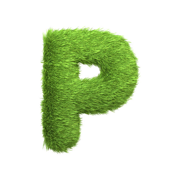istock Capital letter P shaped from lush green grass, isolated on a white background 2135289291