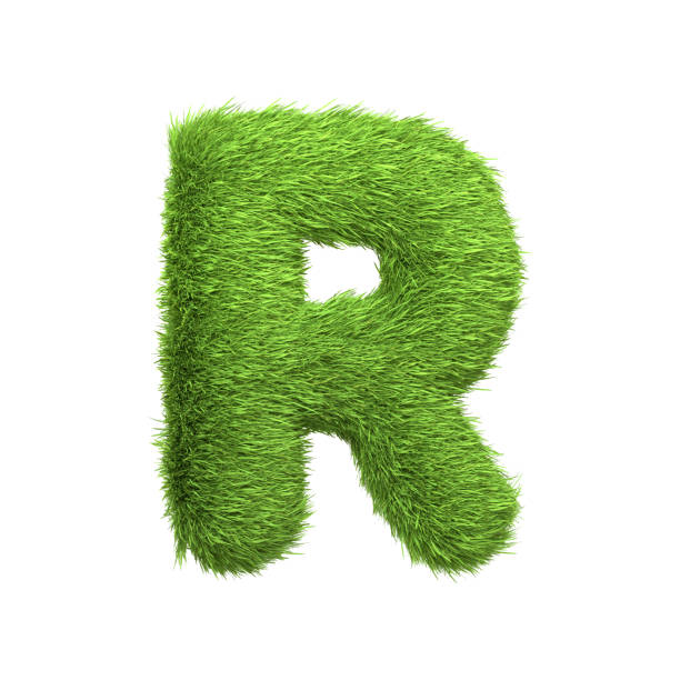 istock Capital letter R shaped from lush green grass, isolated on a white background 2135289300