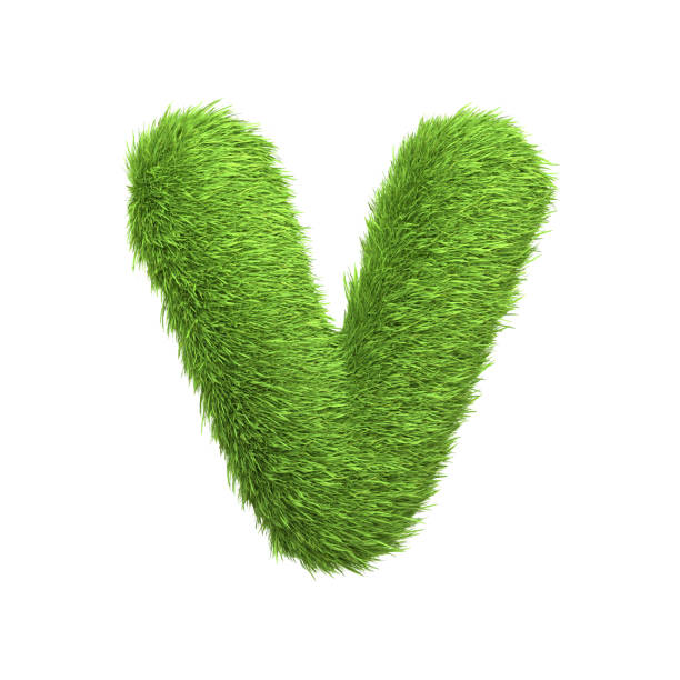 istock Capital letter V shaped from lush green grass, isolated on a white background 2135289334