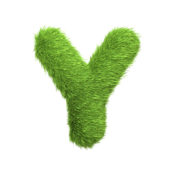 istock Capital letter Y shaped from lush green grass, isolated on a white background 2135289861