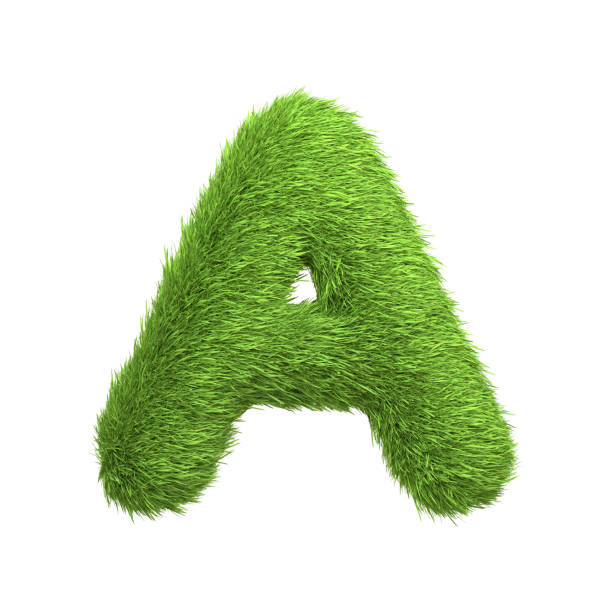 istock Capital letter A shaped from lush green grass, isolated on a white background 2135290434