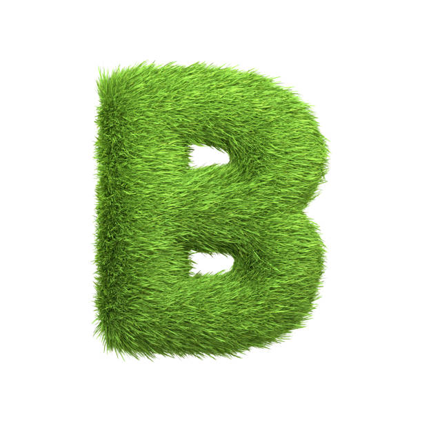 istock Capital letter B shaped from lush green grass, isolated on a white background 2135290435