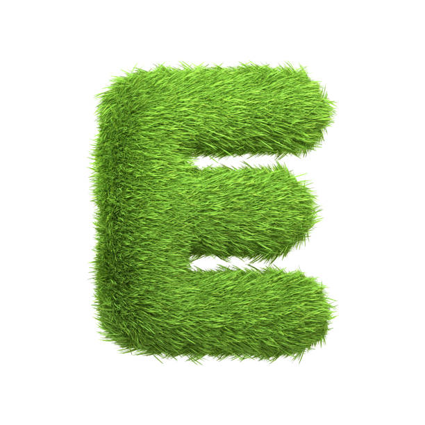 istock Capital letter E shaped from lush green grass, isolated on a white background 2135290466
