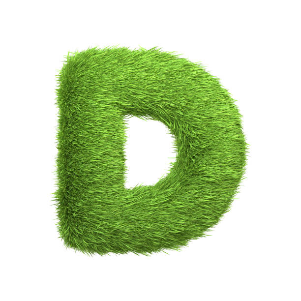 istock Capital letter D shaped from lush green grass, isolated on a white background 2135290467